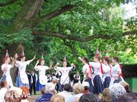 Mezinárodní folklorní festival Setkání s folklorem