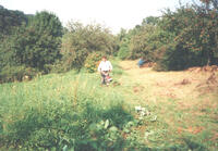 Bartošovice